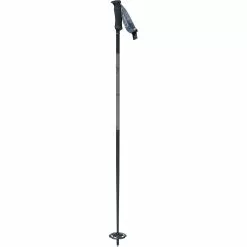 Swix Plus Line Ski Pole