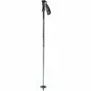 Swix Techlite Pro Ms Pole