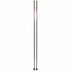 Swix Quantum Q1 Pole