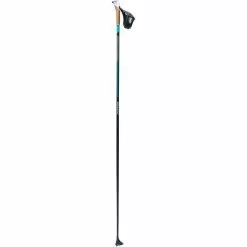 Swix 22 Quantum 6 Just Click PCU Pole